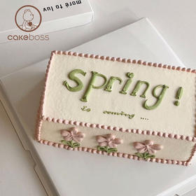 【私人订制】ins风异形生日蛋糕