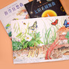 《一卷一视界:手绘自然长卷书》3本精装8开 商品缩略图5