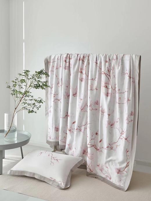 天丝夏被醉辛夷天丝蚕丝抗菌夏被 商品图0