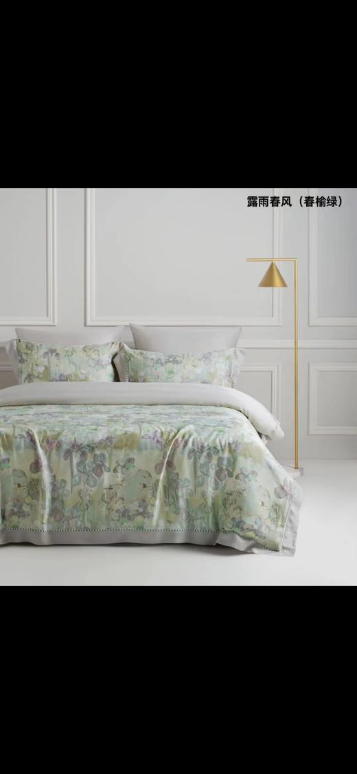 天丝四件套100%天丝露雨春风 商品图0