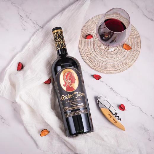 智利赤霞珠佳美娜精选级干红葡萄酒13.5%VOL开门红双支礼盒装750ml*2 商品图3