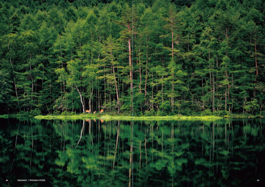 JAPANISM：Bringing Japan’s Beauty to the World / 日本主义：将日本的美丽带给世界 商品图1