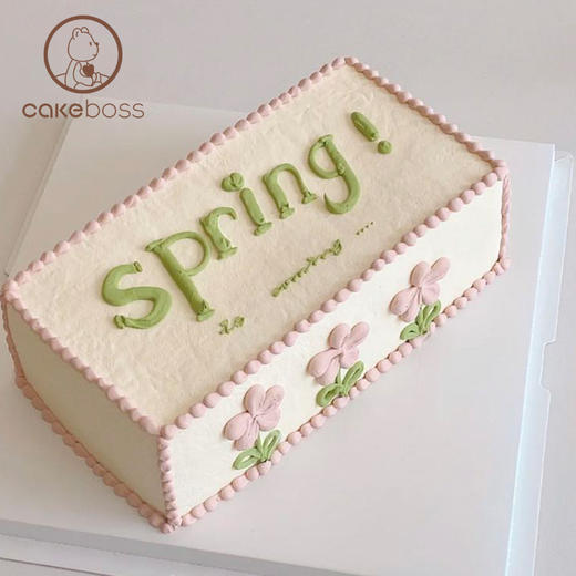 【私人订制】ins风异形生日蛋糕 商品图2