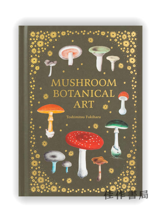 Mushroom Botanical Art / 蘑菇植物艺术 商品图0