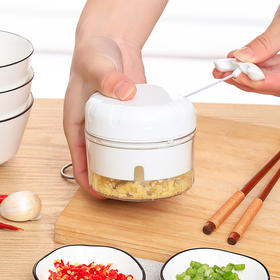 蒜泥器迷你手动压蒜器捣蒜器打蒜蓉蒜泥神器