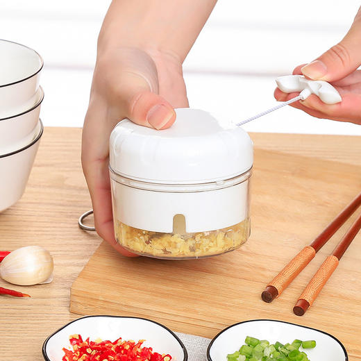 蒜泥器迷你手动压蒜器捣蒜器打蒜蓉蒜泥神器 商品图0