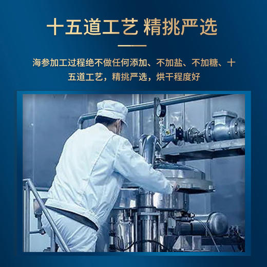 官妃燕 国标海参(250g) 商品图4