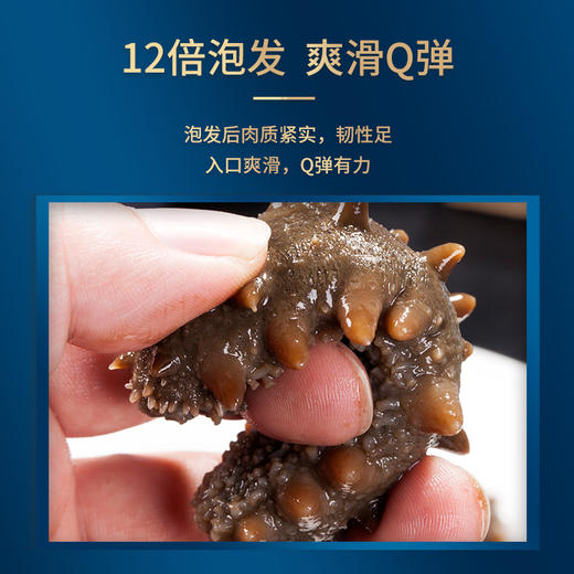 官妃燕 国标海参(250g) 商品图5