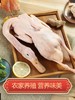 正宗三年老鸭1.1千克左右/只 商品缩略图0