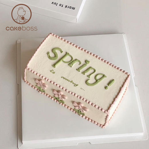 【私人订制】ins风异形生日蛋糕 商品图1