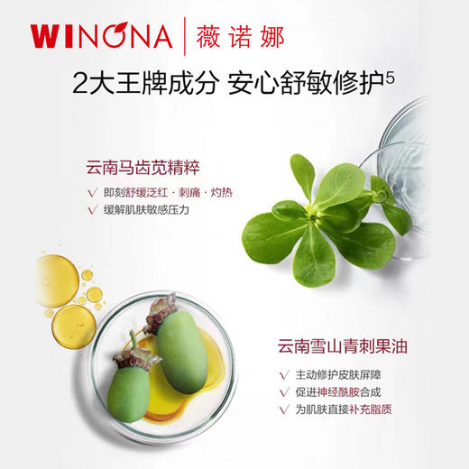 winona薇诺娜 舒敏保湿特护霜 敏感肌特护修复肌肤屏障 商品图3