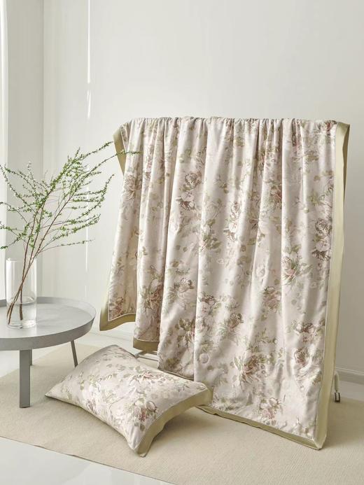 天丝夏被 知瑾天丝蚕丝抗 菌夏被 商品图0