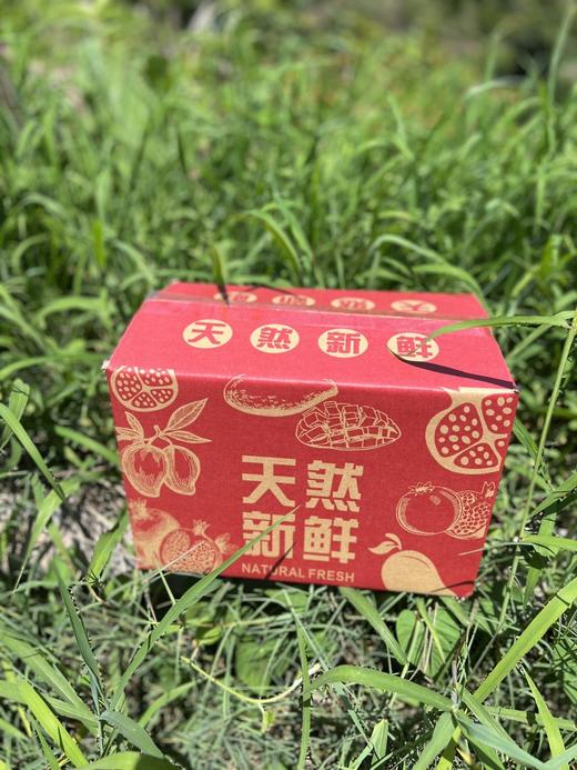 攀枝花超甜沃柑 商品图3