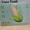 🌱  黄糯玉米～🌽 🅾️农药  🅾️添加 🅾️化肥  人工除草 非转基因锁鲜  👍独立真空包装 😋干净卫生因为不打农药 所以‘田里有草’ 商品缩略图7