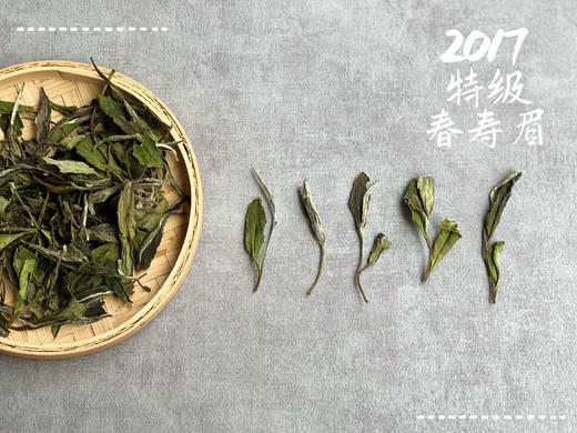 【会员珍品推荐】6年陈特级春寿眉，被时间耽误的白牡丹，嫩似三月之笋，脆如六月之桃。 商品图5