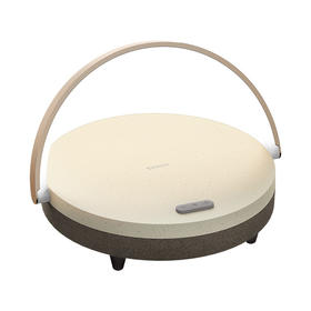 LYYD08 音乐氛围露营灯