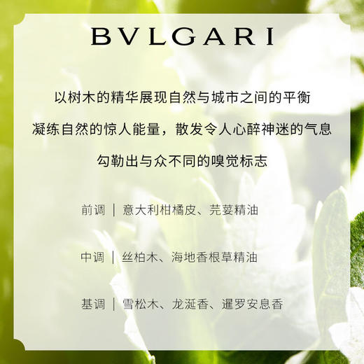 BVLGARI宝格丽城市森林绿意男士淡香EDP香水木质调持久60ml【CDF】 商品图3
