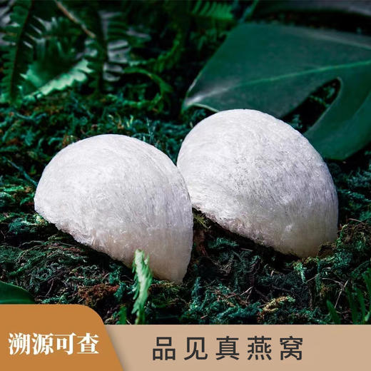 官妃燕国际溯源燕窝（密盏）50g 商品图1