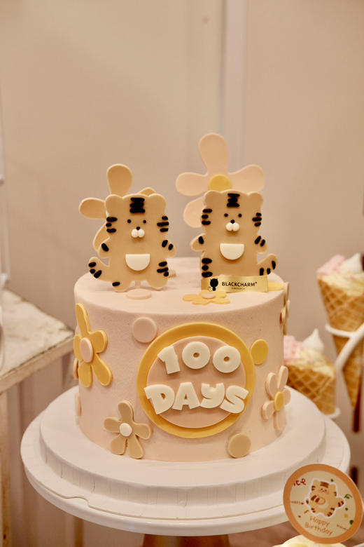 老虎主题双胞胎百日宴 商品图0