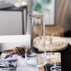 北欧创意轻奢玻璃花瓶透明描金客厅水养鲜花插花干花网红花瓶摆件 商品缩略图6