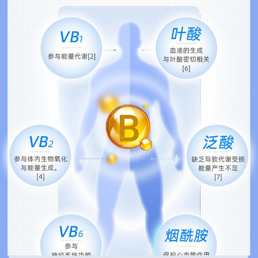 黄金搭档多种B族维生素片（成人）/3瓶 商品图4