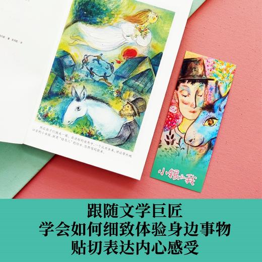 小银和我（诺贝尔文学奖得主儿童文学代表作） 商品图4