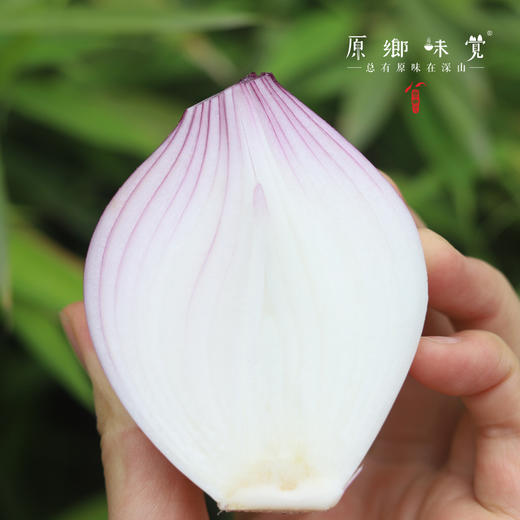 生态水果紫洋葱（基地直发-顺丰包邮）｜3斤/5斤/箱， 来自云南元谋，生产者：洪炜【合作生产，公平贸易】 商品图2