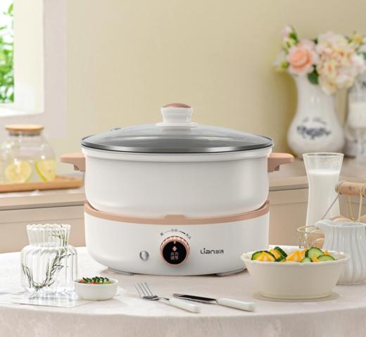 【团购展示】联创电煮锅DF-BL8028M 商品图0