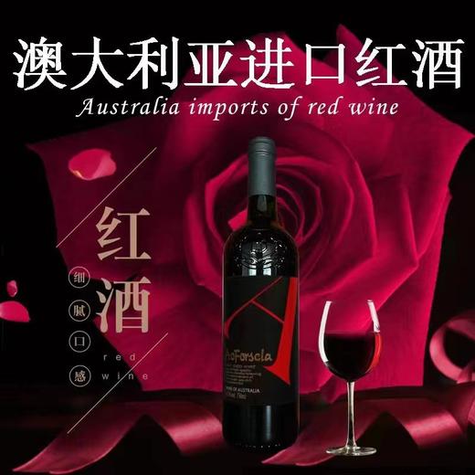 青岛供货商 商品图0