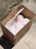 攀枝花超甜沃柑 商品缩略图4