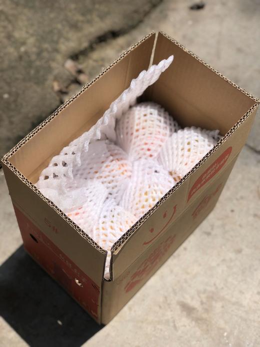 攀枝花超甜沃柑 商品图4