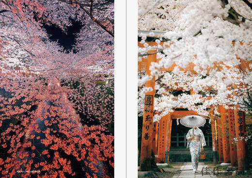 JAPANISM：Bringing Japan’s Beauty to the World / 日本主义：将日本的美丽带给世界 商品图2