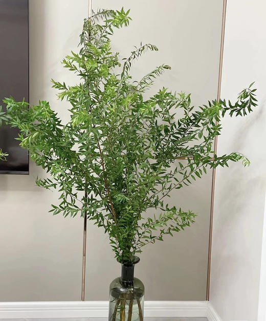 【夏日小清新】雪柳叶（绿色）若干枝/扎 商品图2