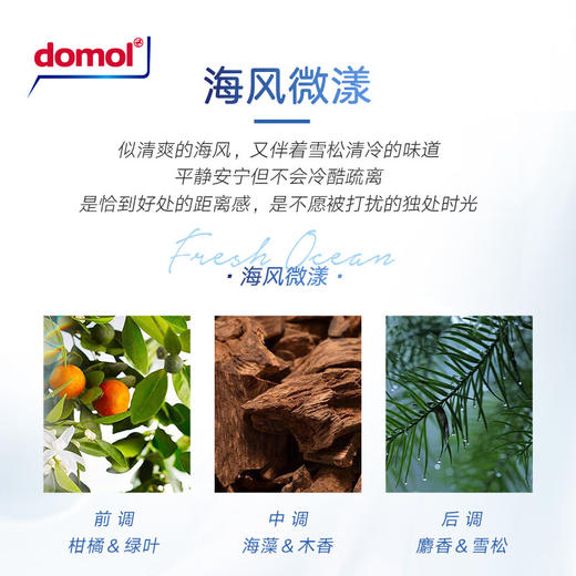 【中欧班列精选2盒】domol德国进口香薰摆件 原装进口 无火藤条挥发海洋清香50ml/瓶 商品图3