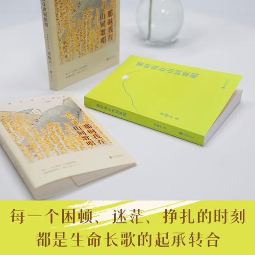 那时我在山间歌唱  梁晓声散文精选 梁晓声 著 文学 商品图1