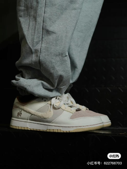 5.1重磅福利🉐️199，广州限定Dunk 商品图1