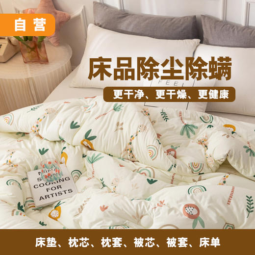 床品除尘除螨 商品图0