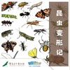 【重庆自然博物馆】昆虫变形记 商品缩略图0