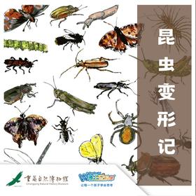 【重庆自然博物馆】昆虫变形记