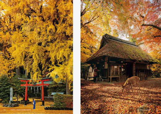 JAPANISM：Bringing Japan’s Beauty to the World / 日本主义：将日本的美丽带给世界 商品图4