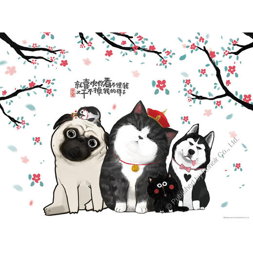 朕的乐趣/504片 商品图0