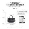 Safiya/索菲娅 2023新款爆款复古手提包时尚托特包单肩包女式斜挎包女包SF9161011Y 商品缩略图6