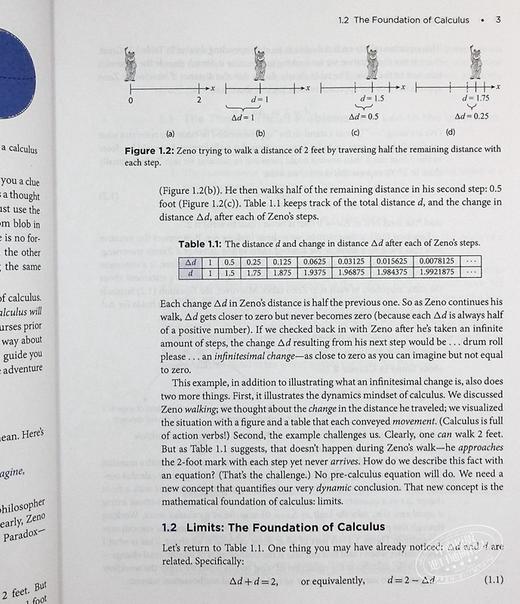 【中商原版】微积分简化 Calculus Simplified 英文原版 Oscar E Fernandez 高等数学 极限 导数 积分 商品图6