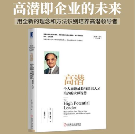 高潜 个人 加速成长与组织 人才培养的 大师智慧 [美]拉姆·查兰 竞争优势 创造价值 高管 人力资源 梯队建设 负责人 HR 商品图1