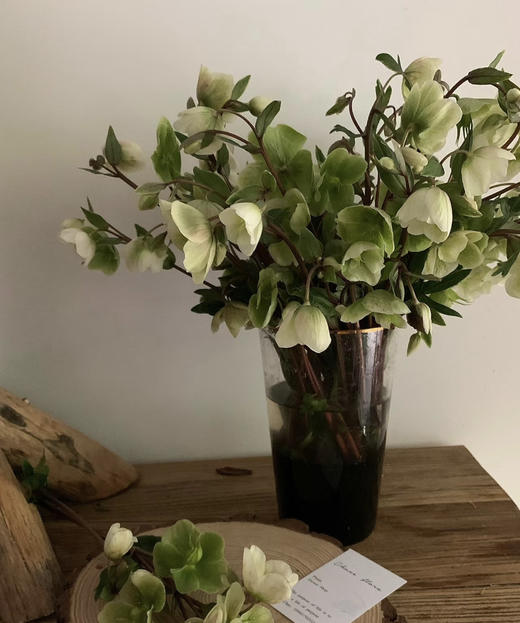 【超长待机】菟葵（单瓣）绿色 约5枝/扎 商品图6