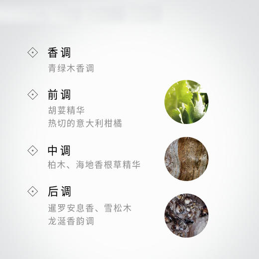 BVLGARI宝格丽城市森林绿意男士淡香EDP香水木质调持久60ml【CDF】 商品图4