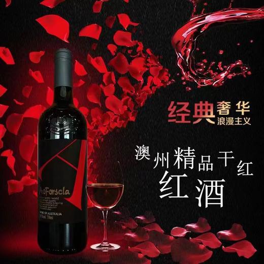 分销团长专属商品 商品图0