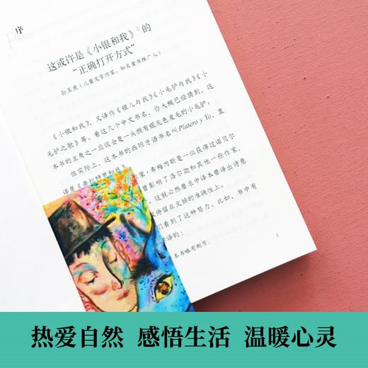 小银和我（诺贝尔文学奖得主儿童文学代表作） 商品图2