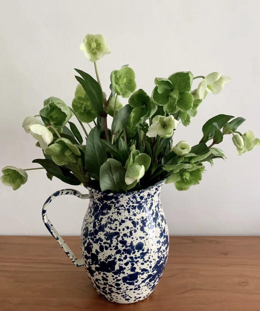 【超长待机】菟葵（单瓣）绿色 约5枝/扎 商品图2