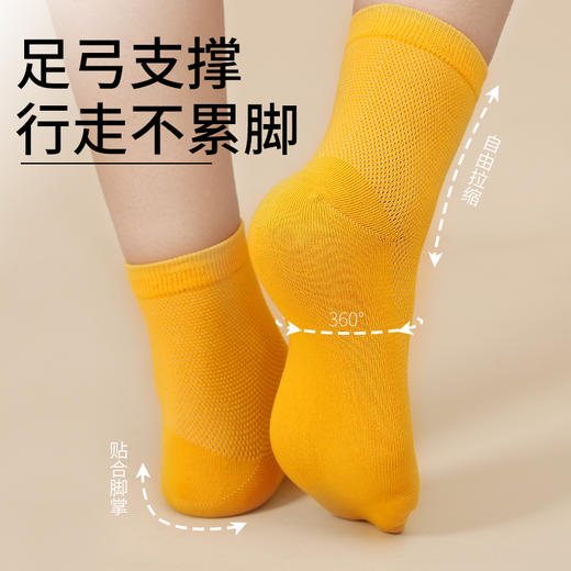 【黑科技专利精油袜】米莫印品香茅草除臭精油袜 专利消臭除臭 排汗透气 舒适柔软贴合持久回弹 时尚简约百搭莫兰迪色系 男女同款 精美礼盒装/5双 商品图1